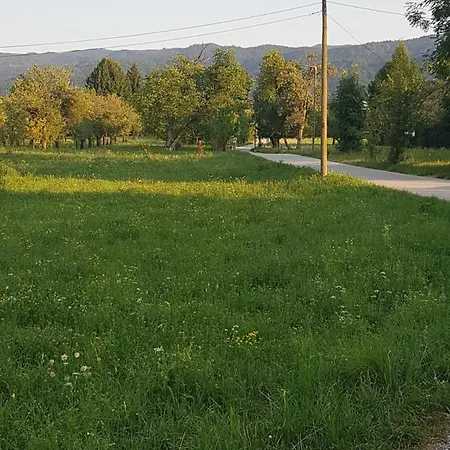 Maja