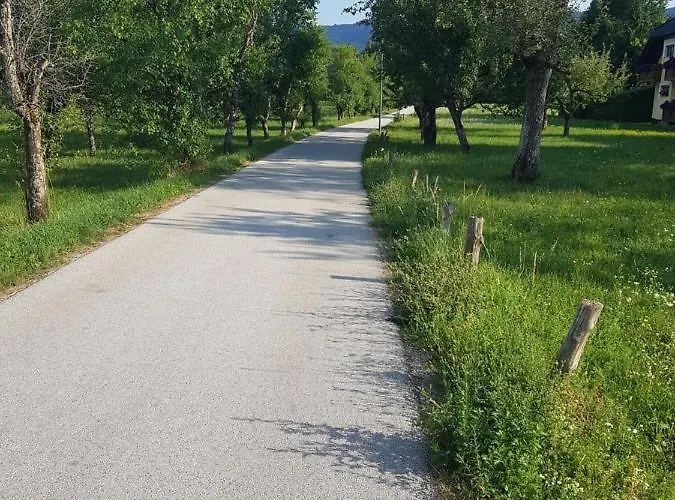 Maja アパート ブレッド